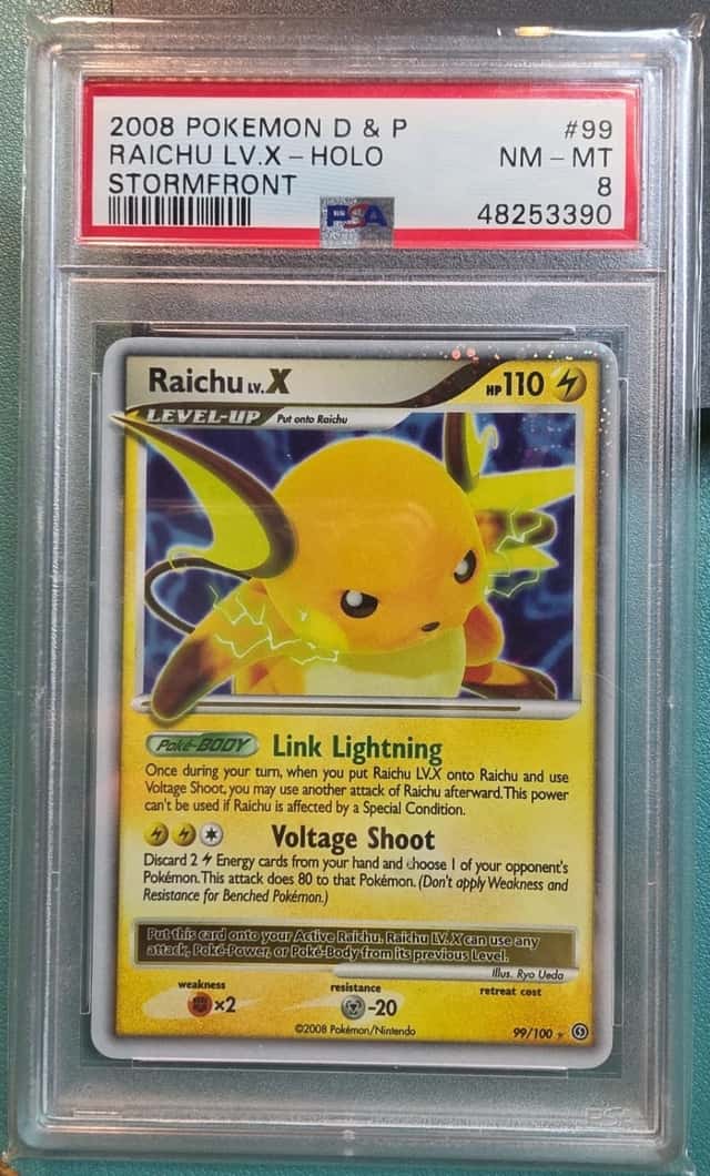 Raichu Lv X