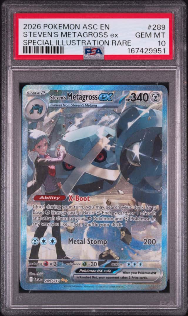 STEVEN'S METAGROSS ex