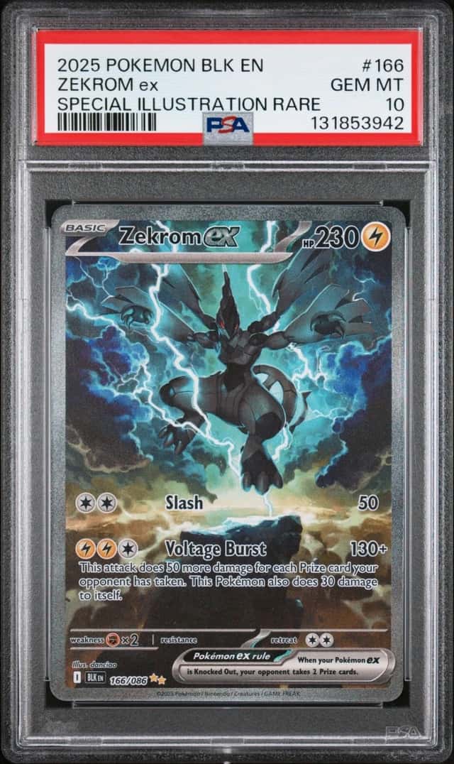 ZEKROM ex