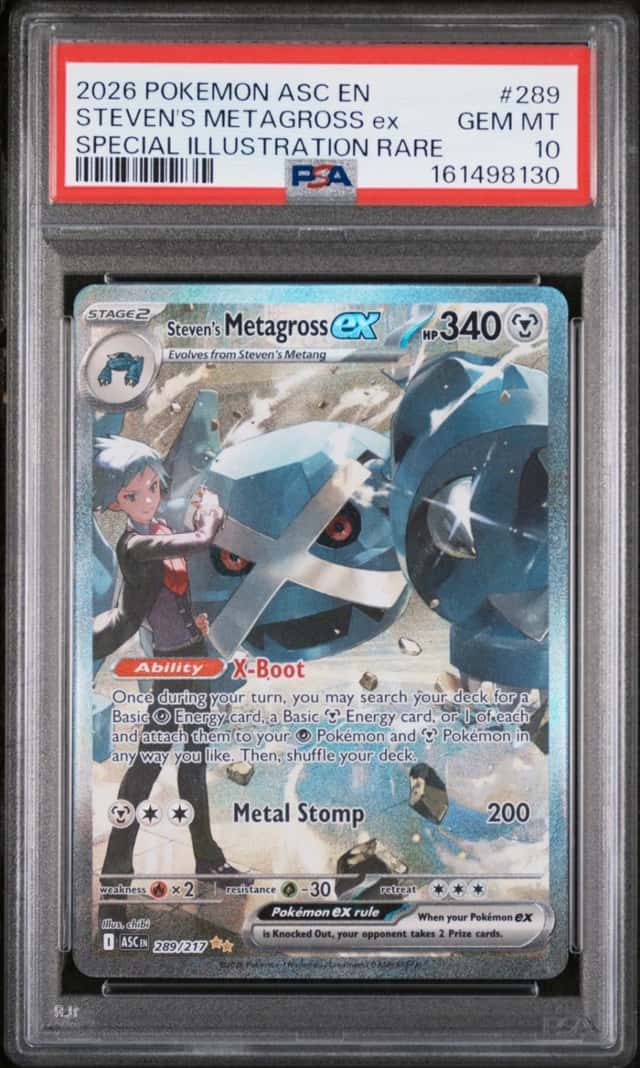 STEVEN'S METAGROSS ex