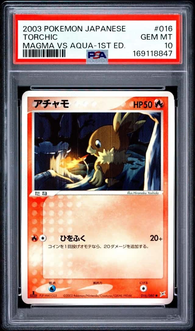 Torchic