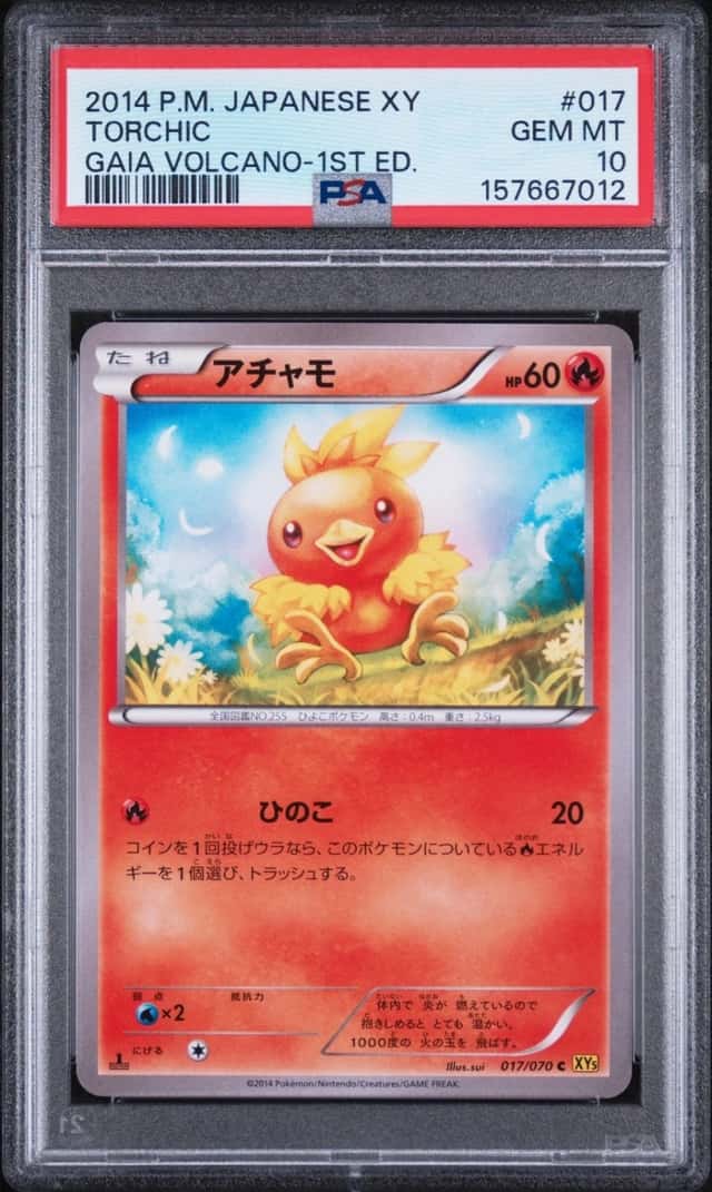 Torchic