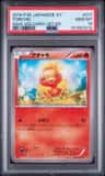 Torchic
