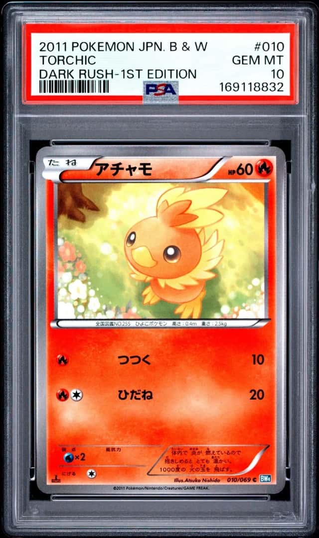 Torchic
