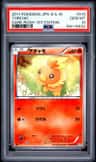 Torchic
