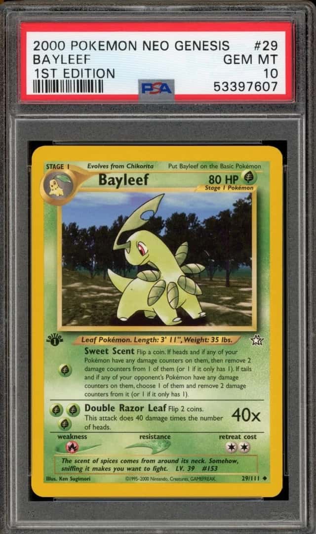 Bayleef