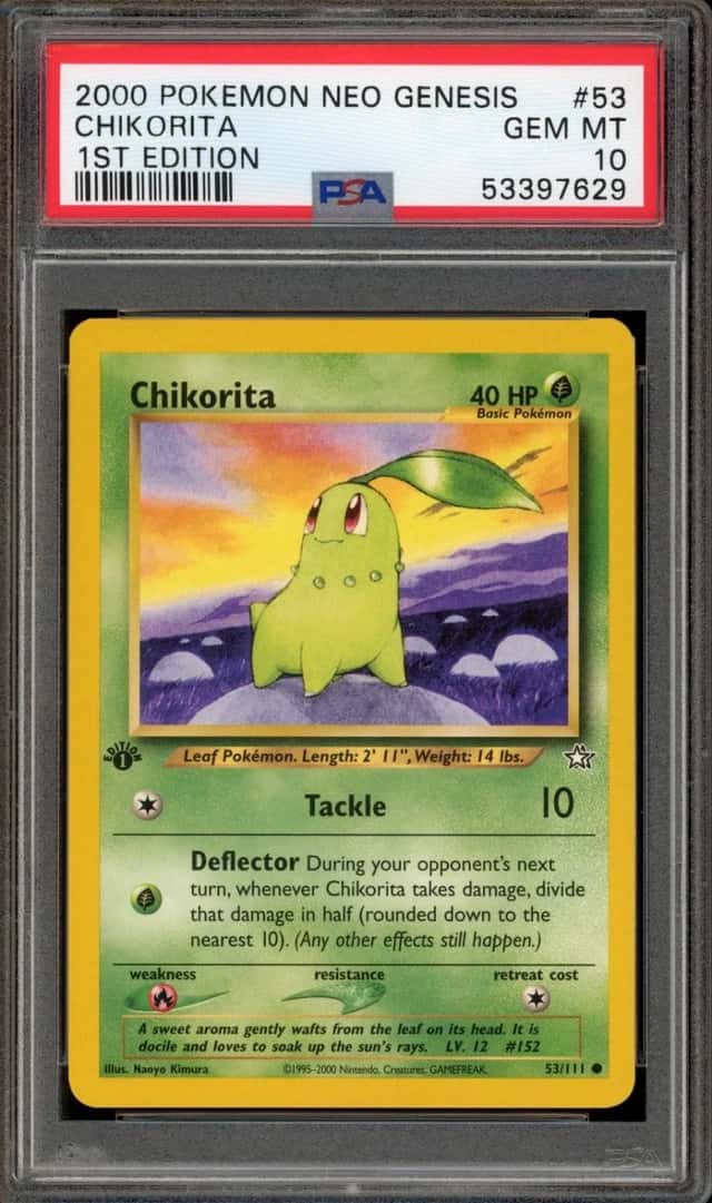 Chikorita