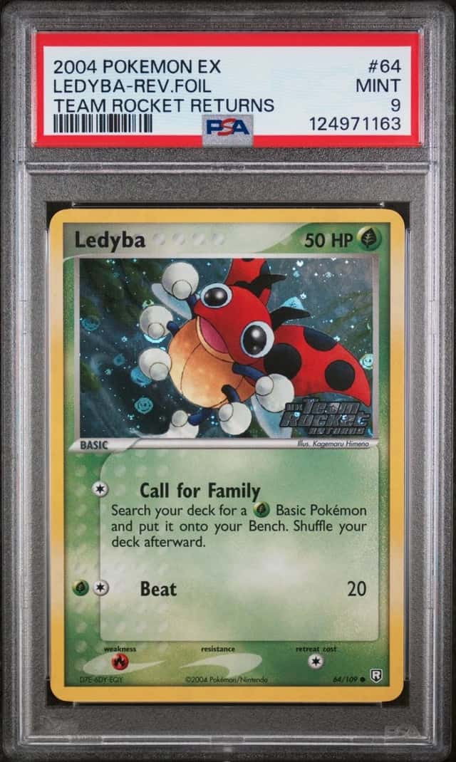 Ledyba