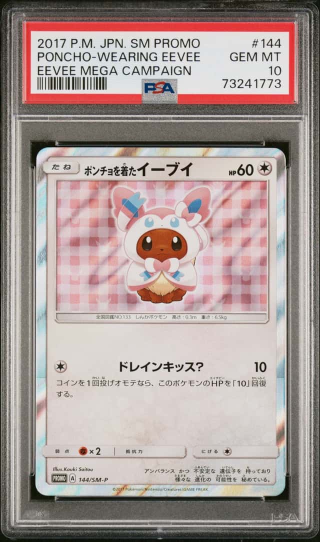 Poncho-Wearing Eevee