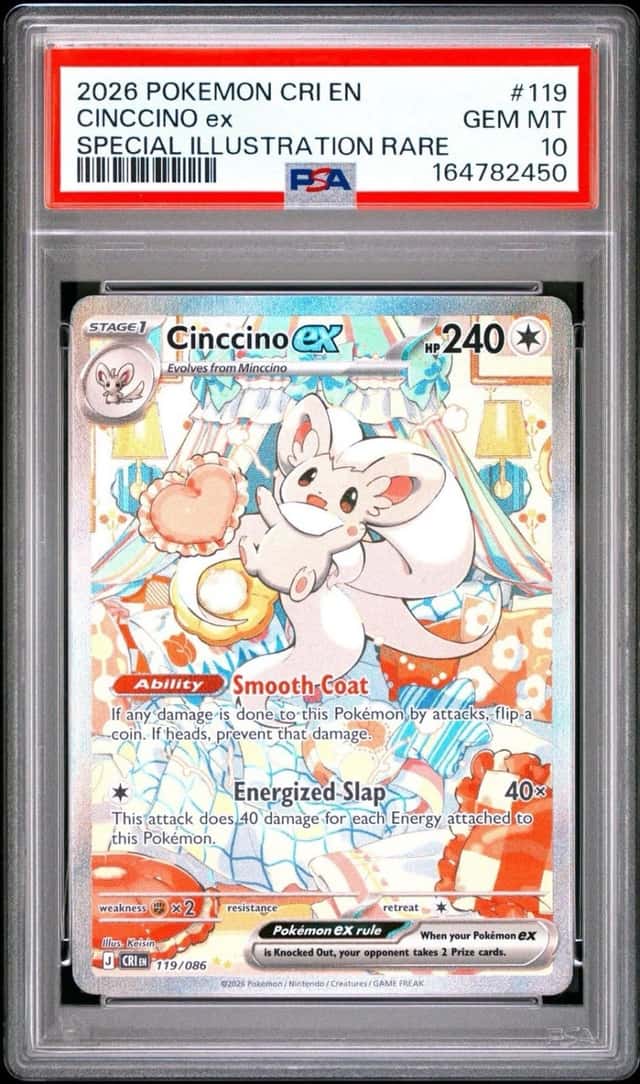 CINCCINO ex