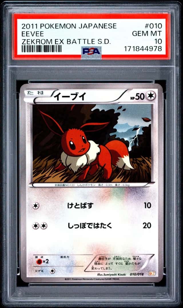 Eevee