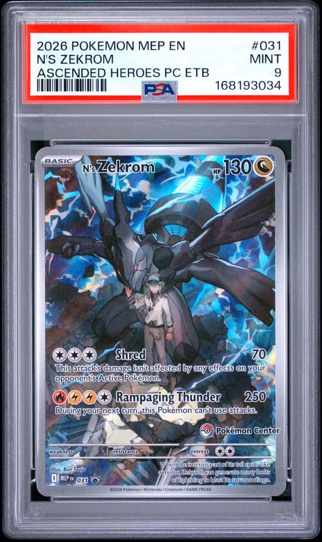 N's Zekrom
