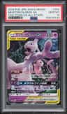 Mewtwo & Mew Gx