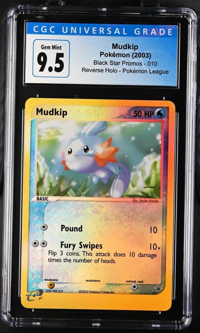 Mudkip