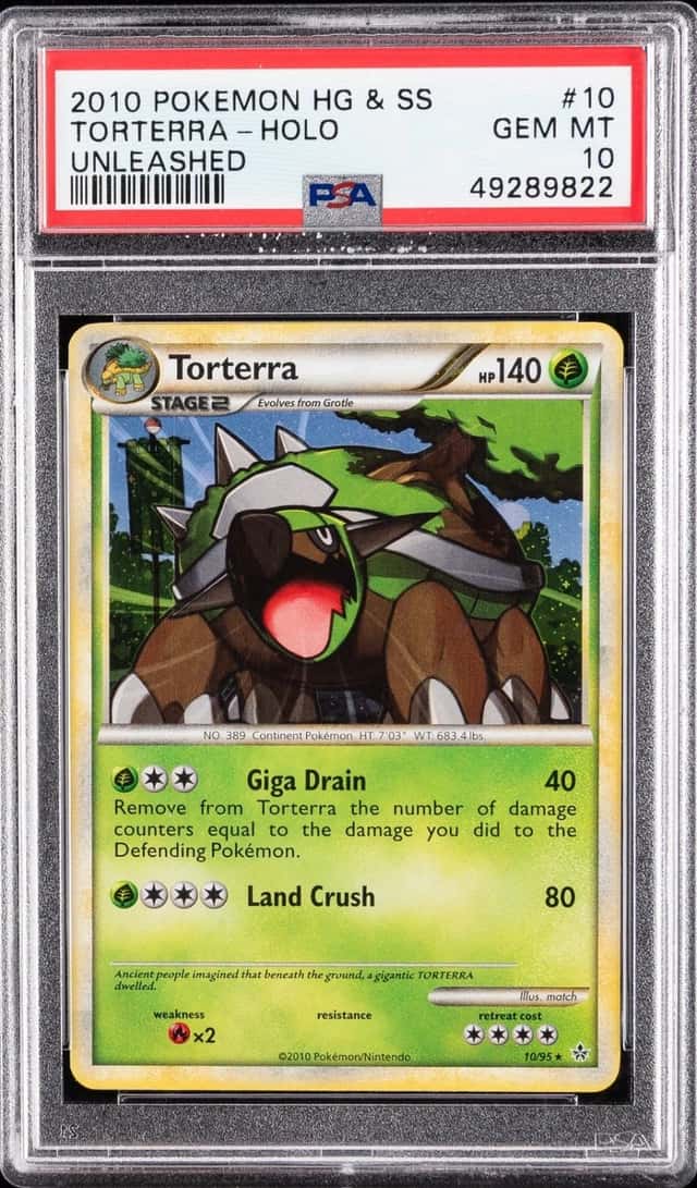 Torterra