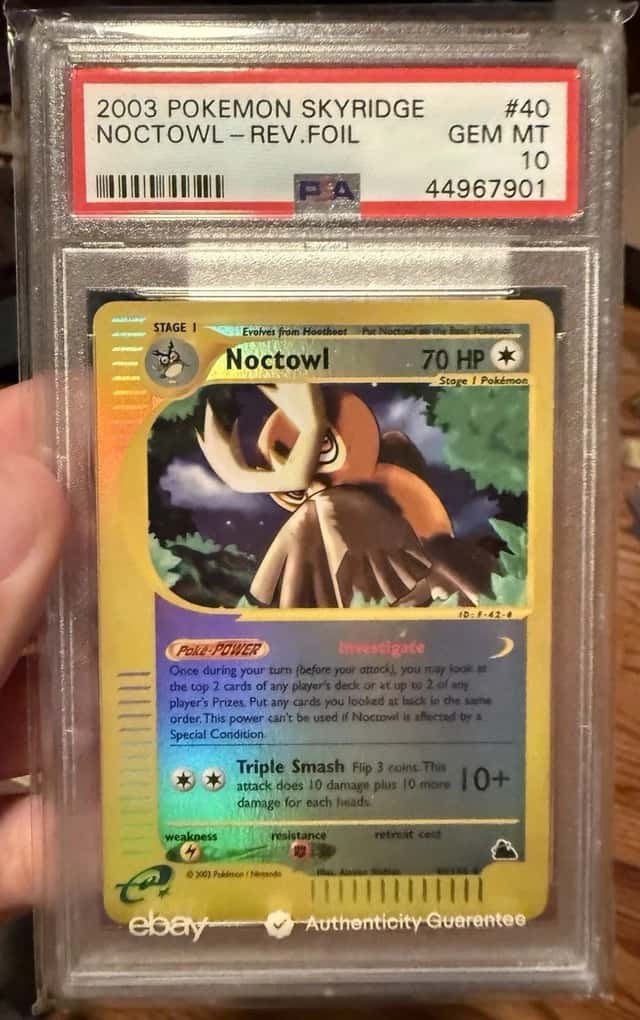 Noctowl