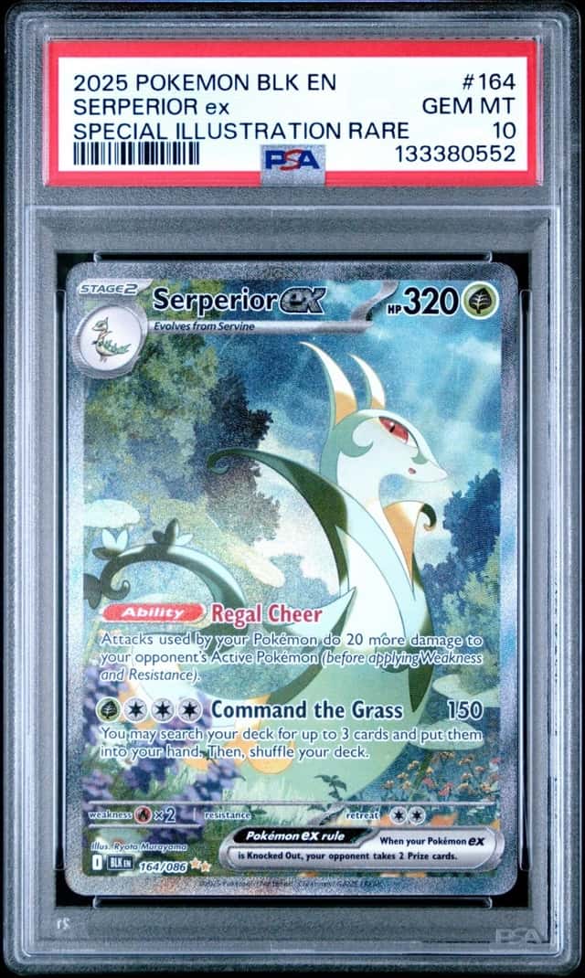 SERPERIOR ex