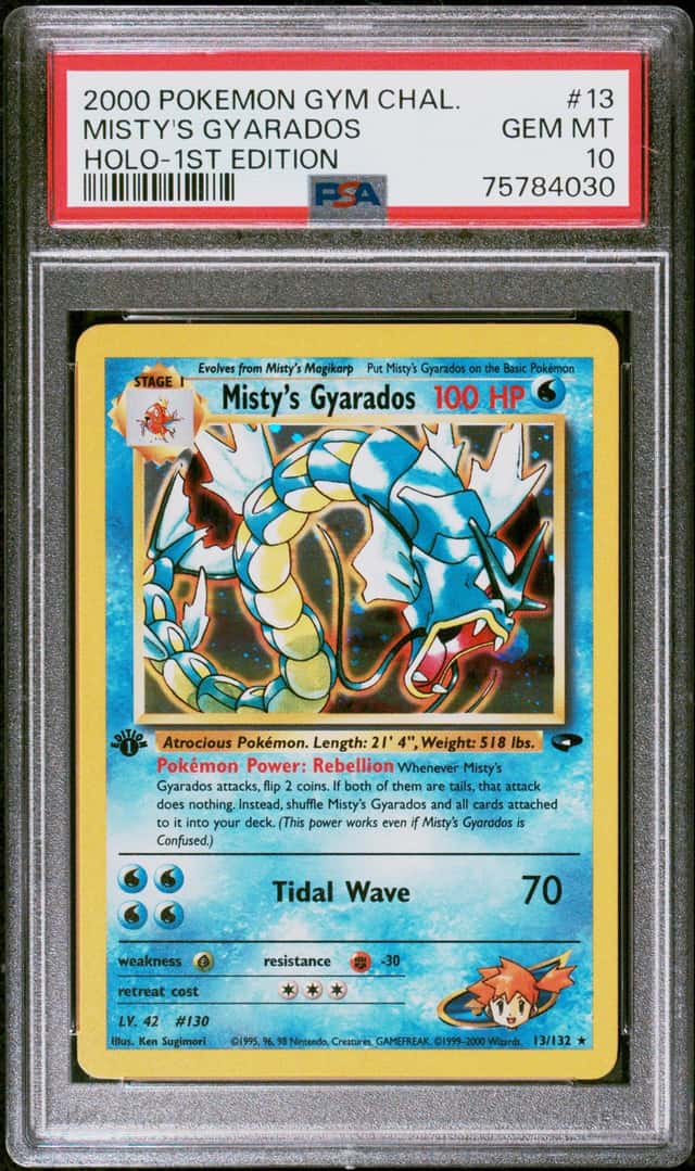 Misty's Gyarados