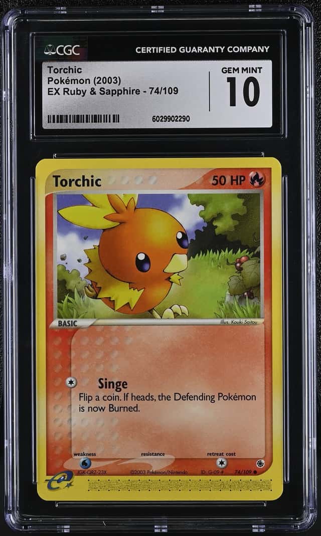 Torchic