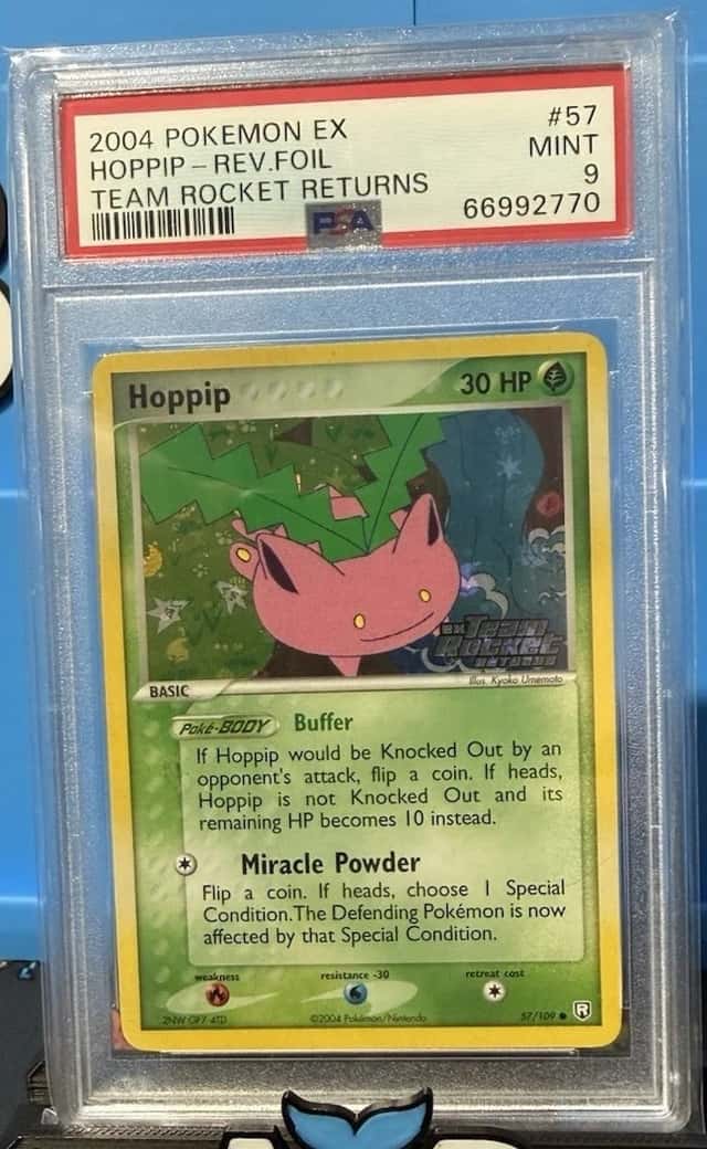 Hoppip