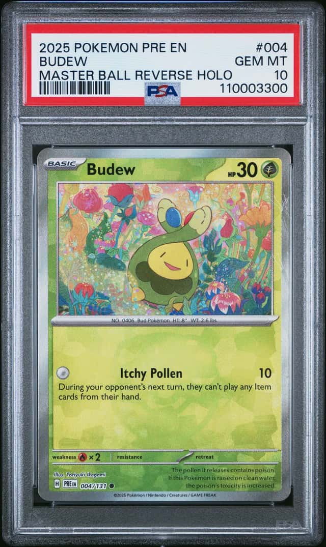 Budew