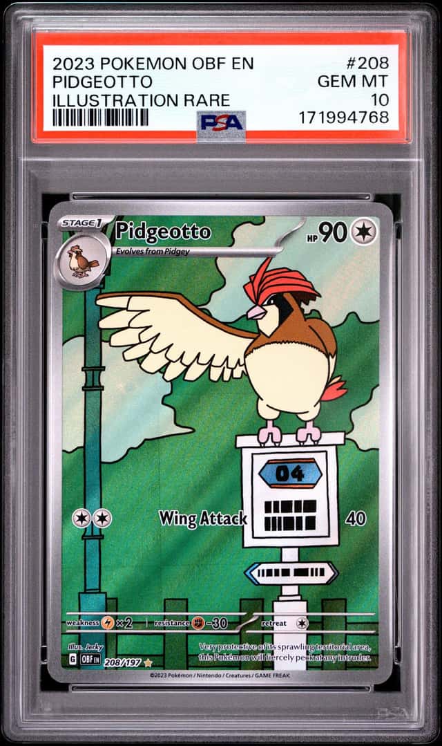 Pidgeotto