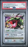 Rayquaza C Lv X