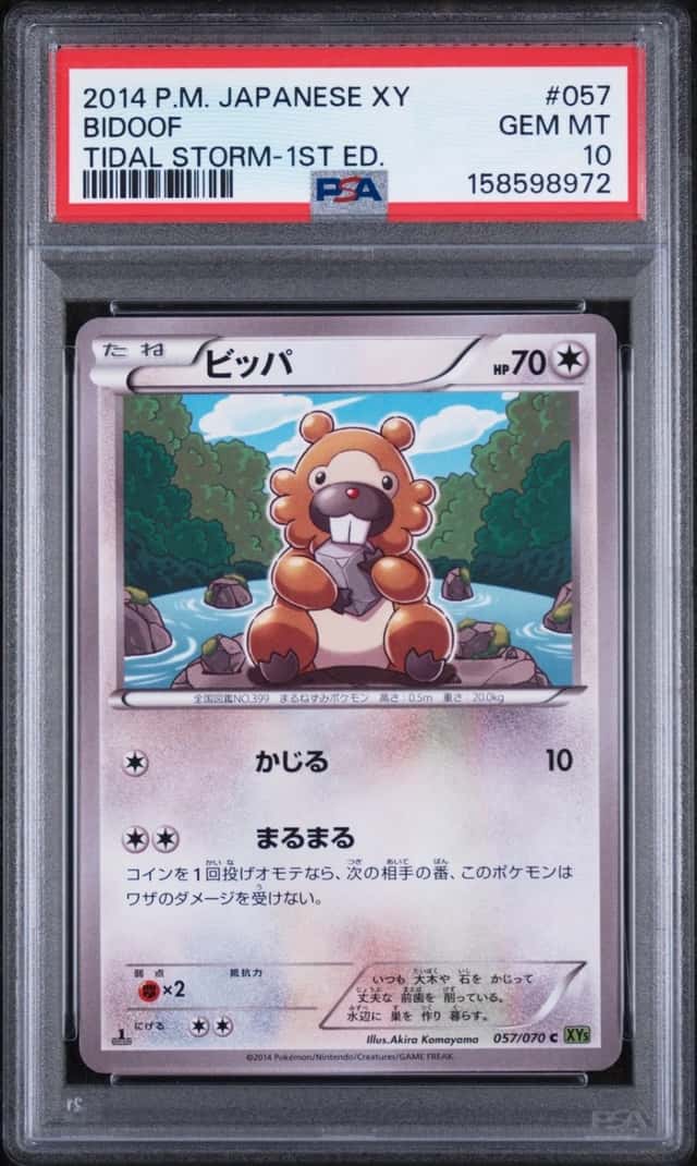 Bidoof