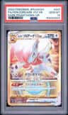 Fa/hsn.zoroark Vstar