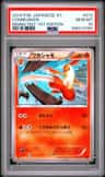 Combusken