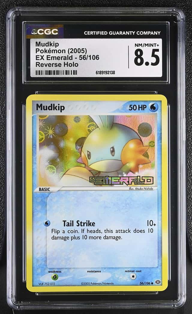 Mudkip
