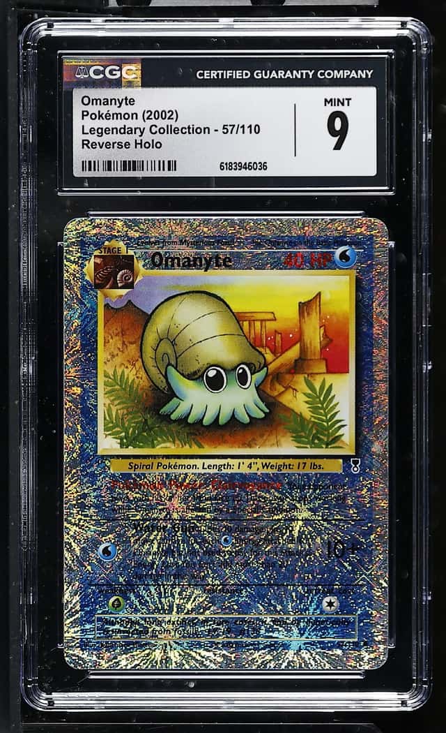 Omanyte