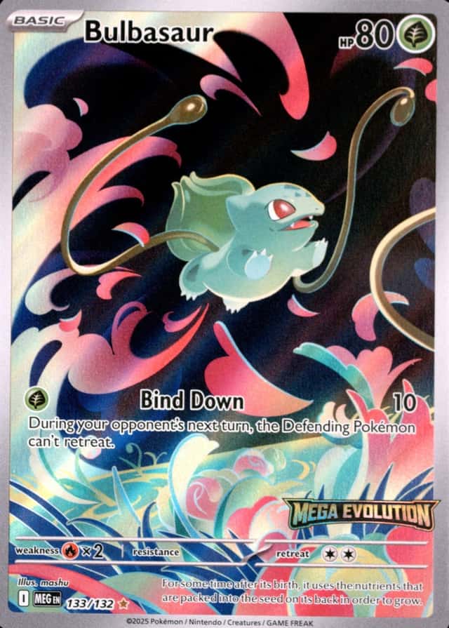 Box Topper