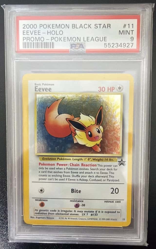 Eevee