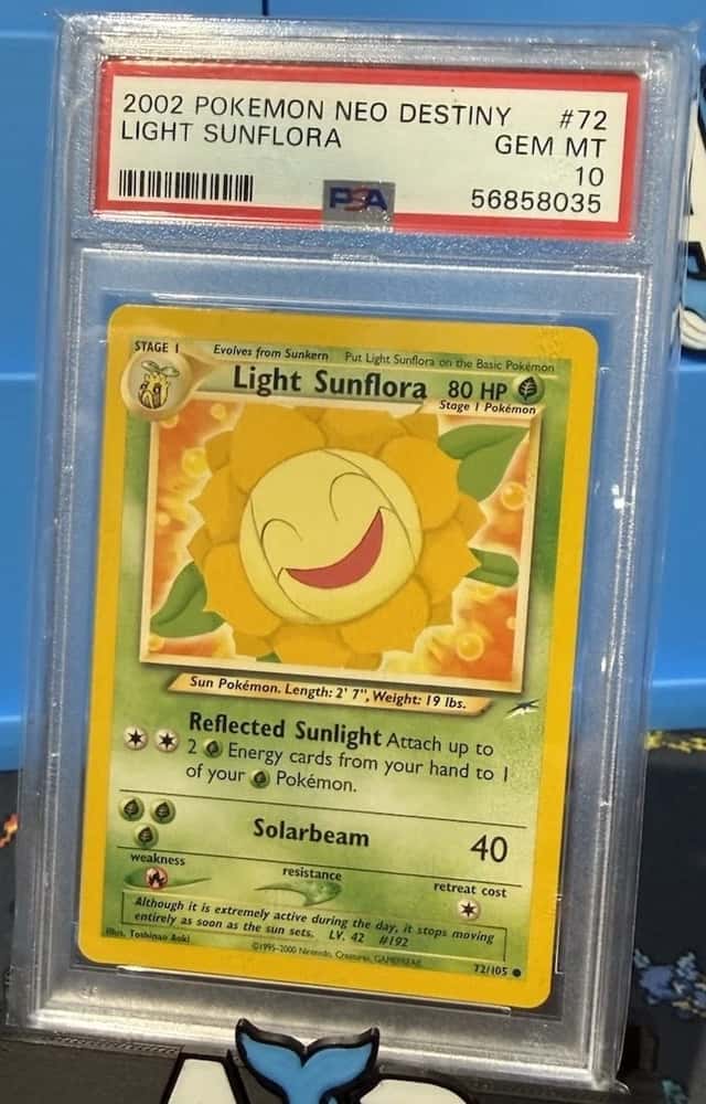 Light Sunflora
