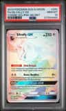 Silvally Gx