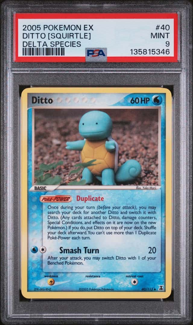Ditto [Squirtle]