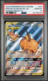 Raichu & Alolan Raichu Gx