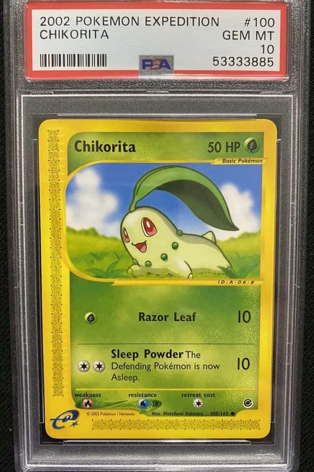 Chikorita