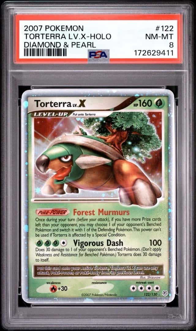 TORTERRA LV.X
