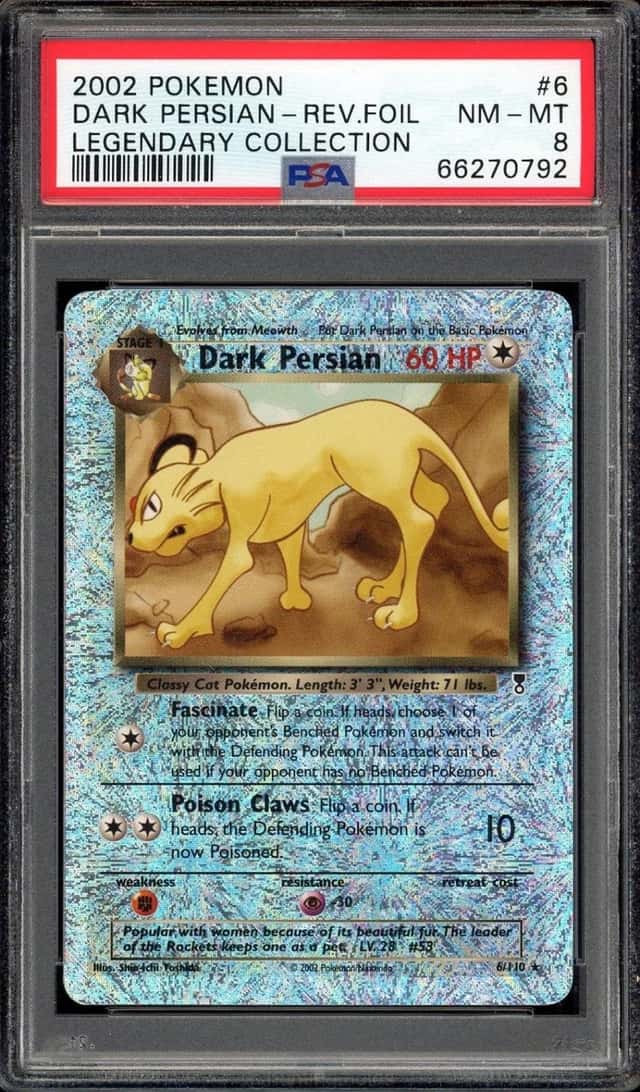 Dark Persian