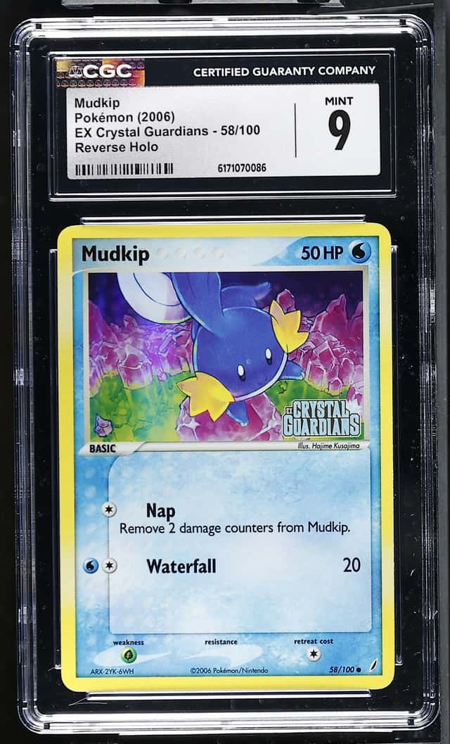 Mudkip