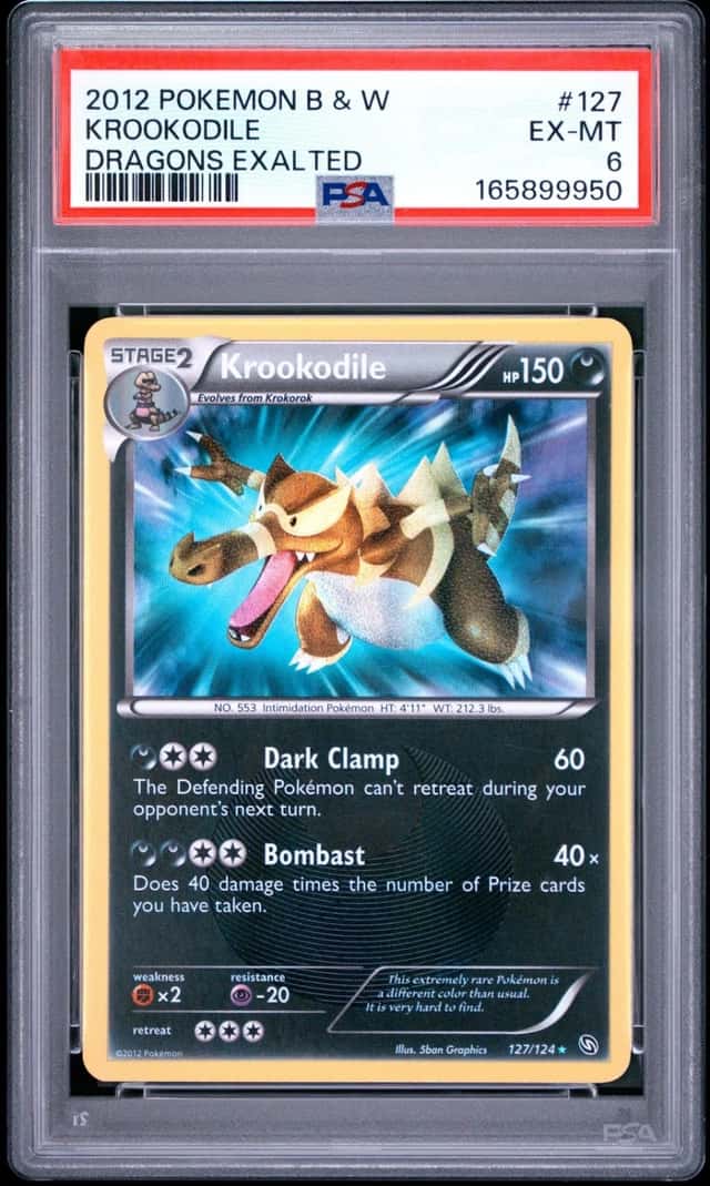 Krookodile