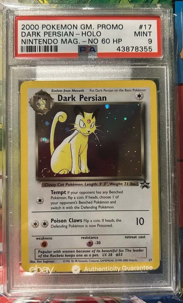 Dark Persian
