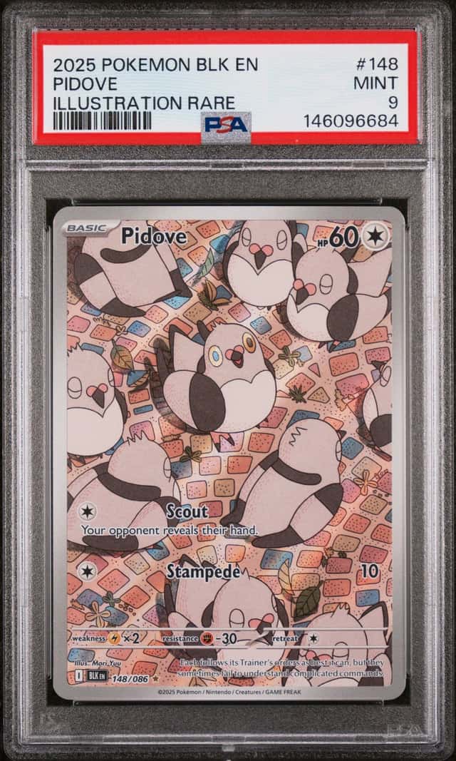 Pidove