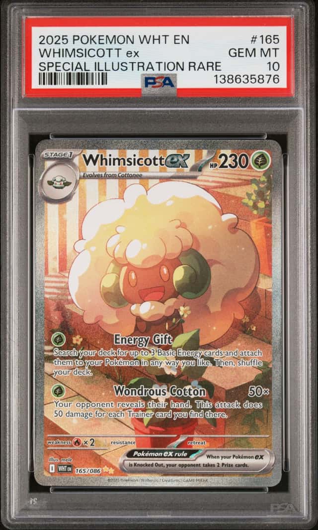WHIMSICOTT ex