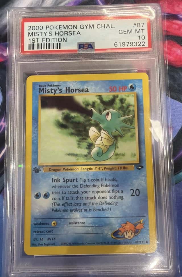Misty's Horsea