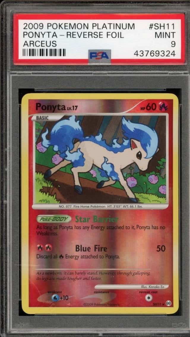 Ponyta