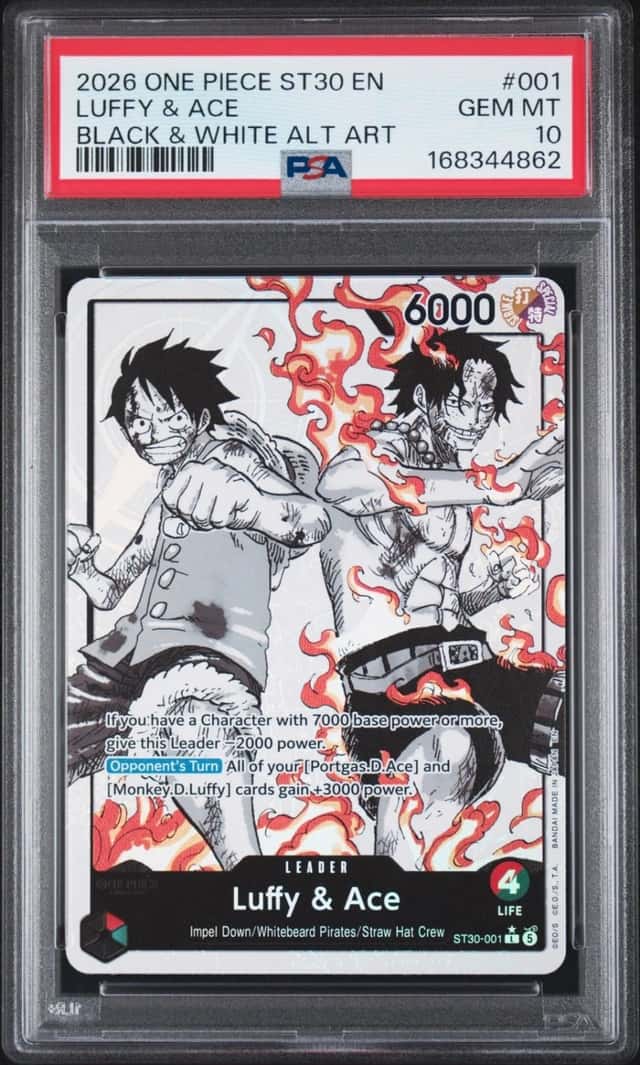 Luffy & Ace