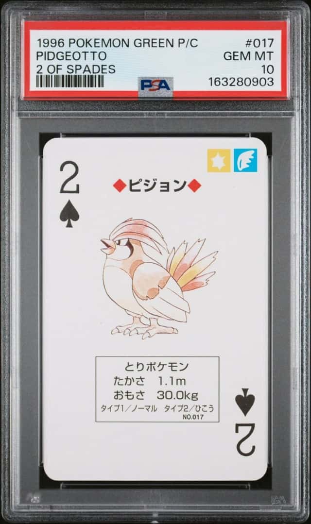 Pidgeotto